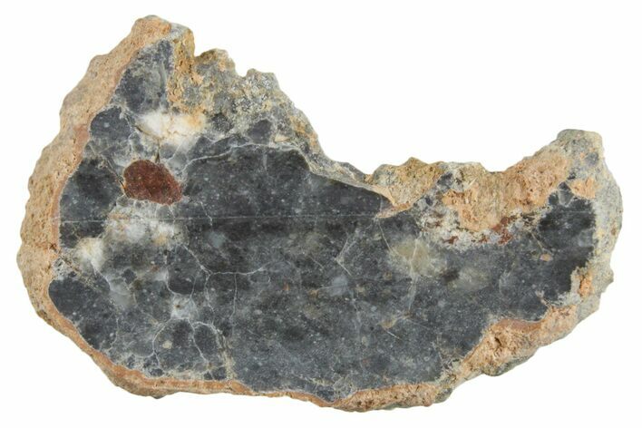 Lunar Meteorite ( g) Slice - Bechar #348181